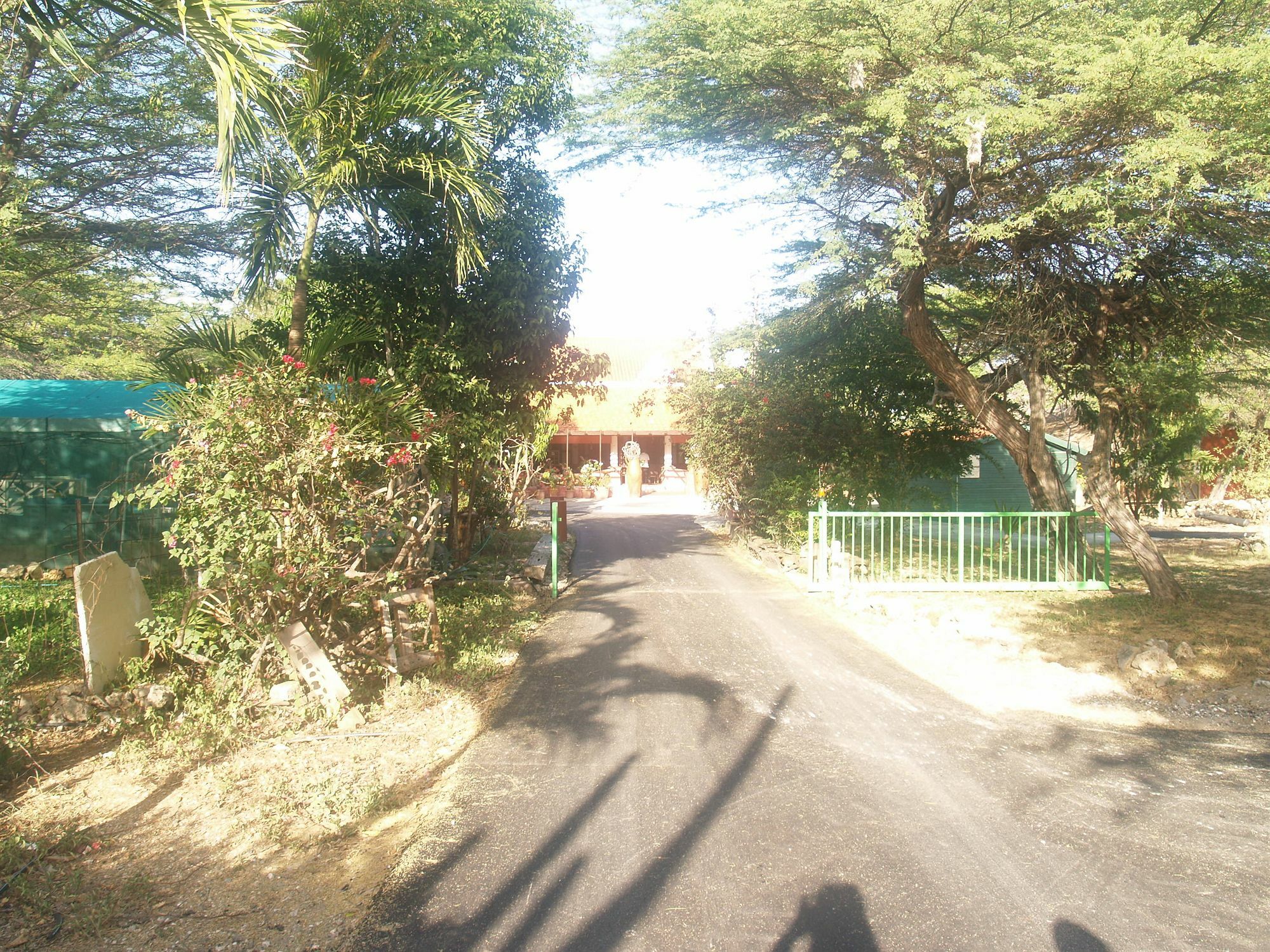 Landhuis Daniel - Plantation House Tera Kora Exterior foto